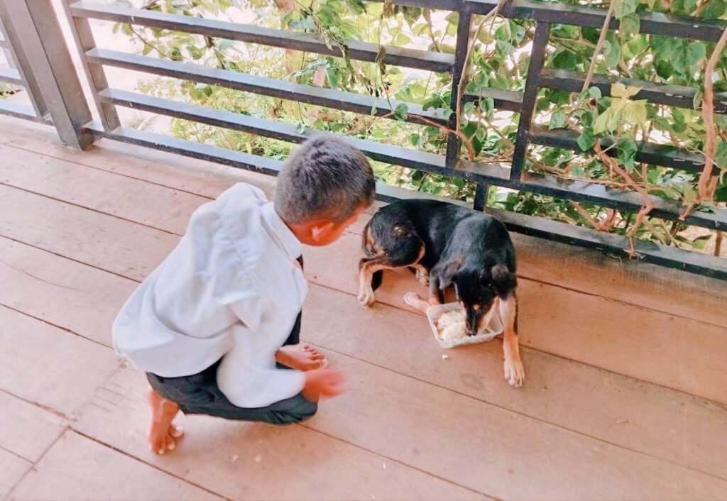 A boy in his school uniform kneeling on a wooden porch to feed his black dog.