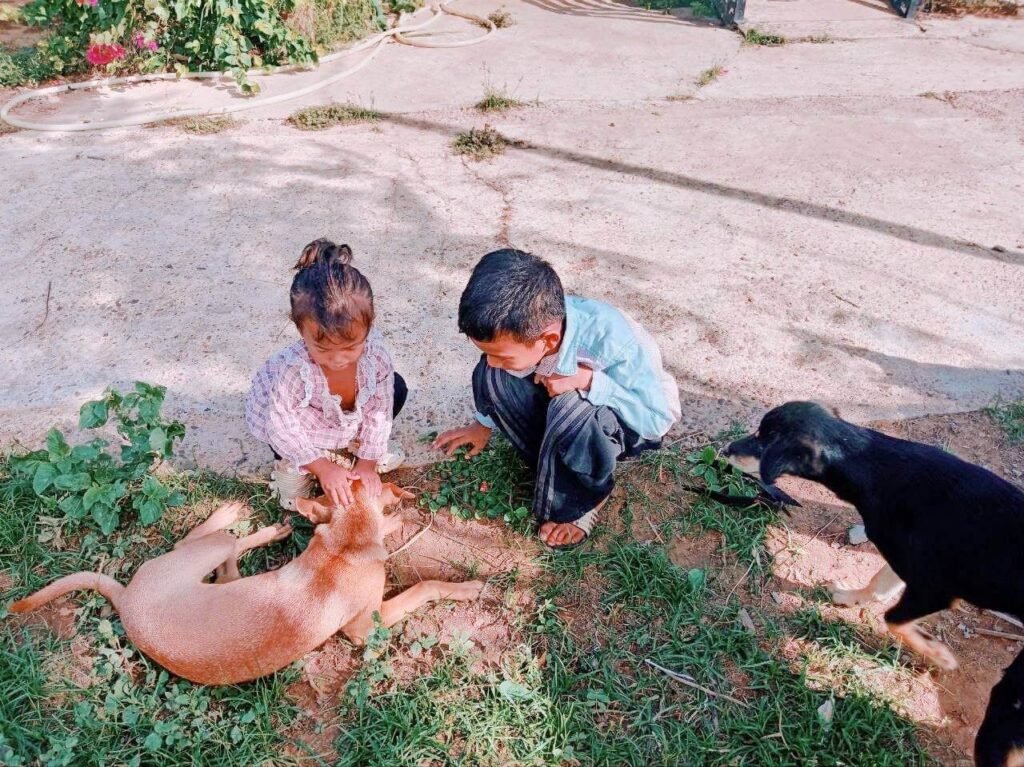 A brother and sister sitting in the grass petting a brown dog while a black dog walks up to them.