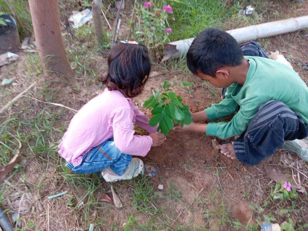 A young boy and his toddler sister working together to plant a small green sapling in the dirt.