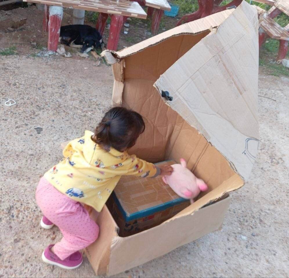 A toddler girl leaning into a handmade cardboard box car with a pink plush toy.