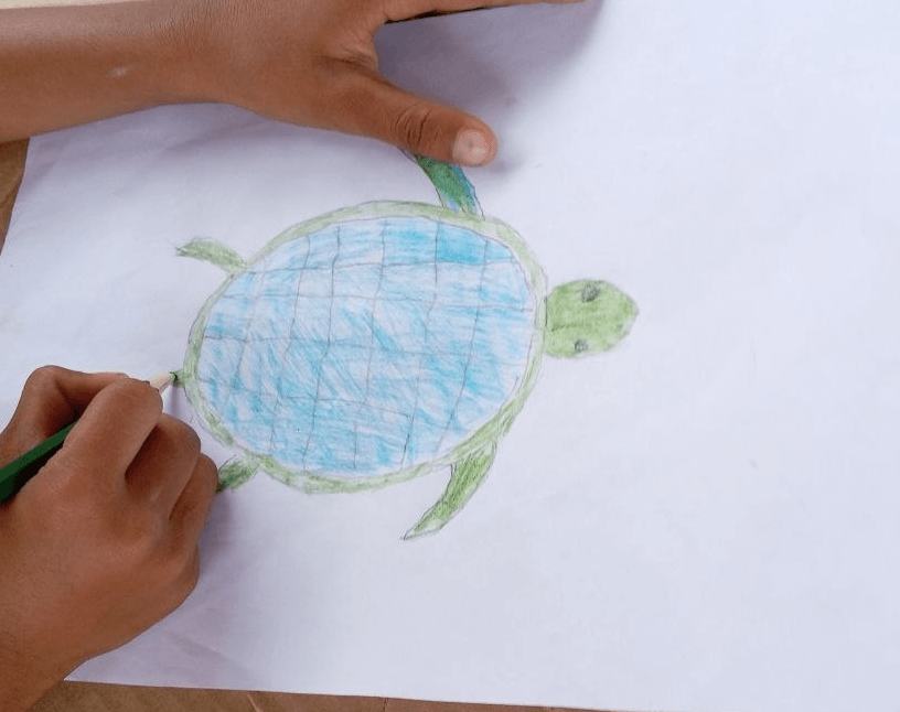 Child coloring the shell of a hand-drawn turtle with a bright blue colored pencil.