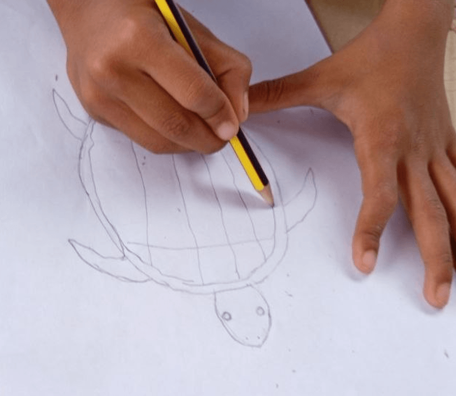 Pencil sketch of a turtle drawn around a leaf outline, adding flippers and a head.