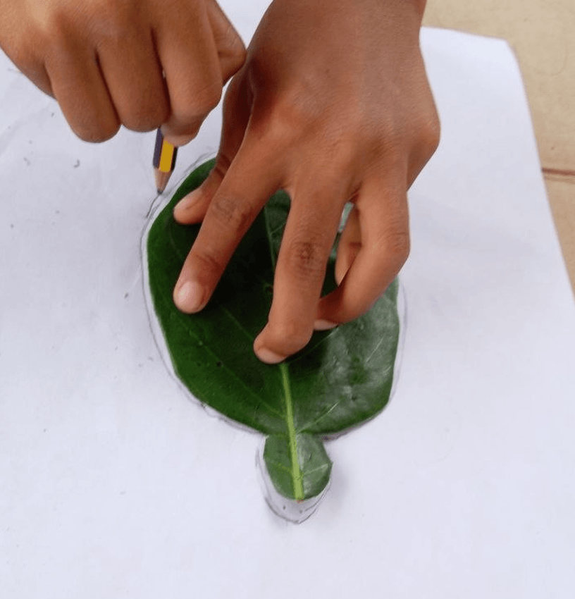 Child's hands holding down a green leaf flat on paper while tracing its outline with a pencil.